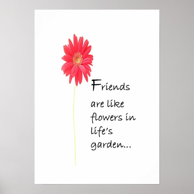 Amigos Poster (Frente)