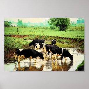 Amish acobarda o poster