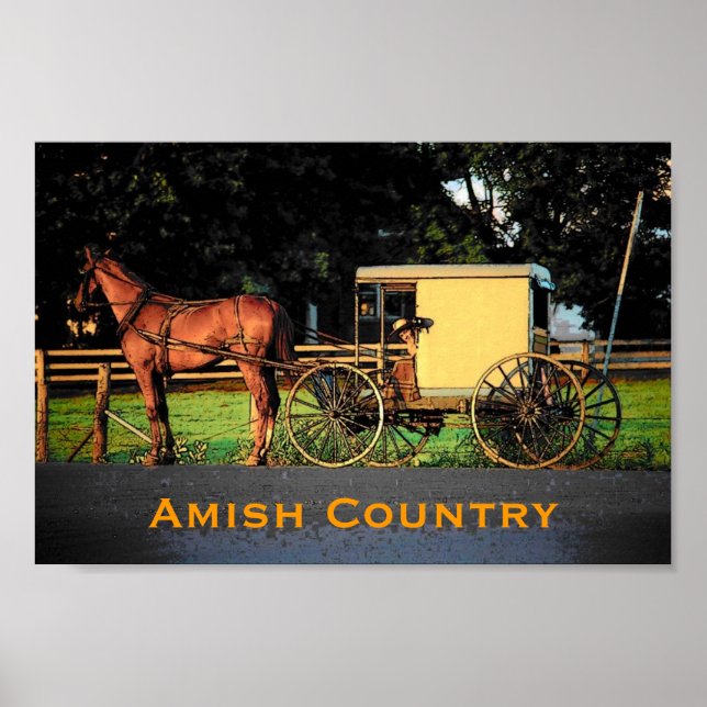 Amish Country Poster (Frente)