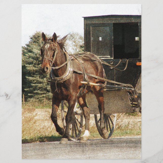 Amish Horse e Buggy (Frente)