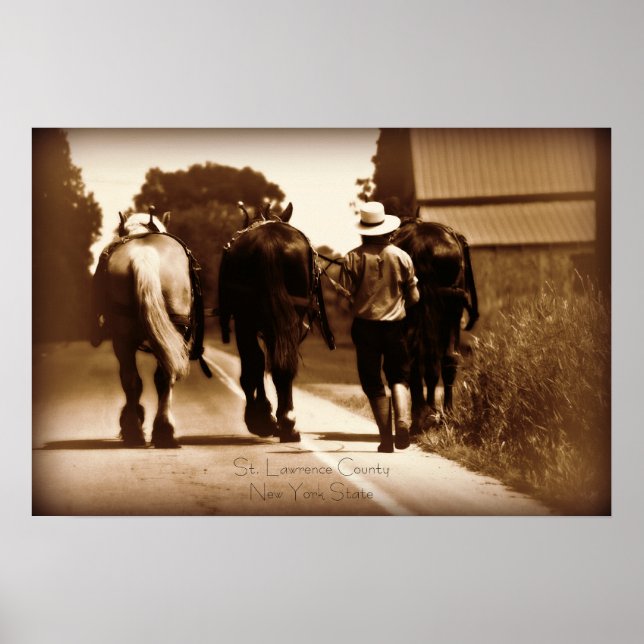 Amish Life Poster (Frente)