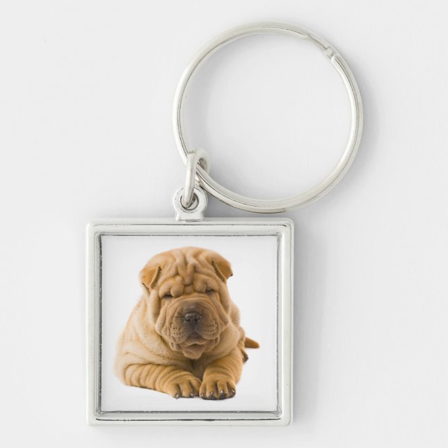 Amo o chaveiro de cachorro Shar Pei chinês (Frente)