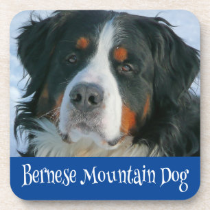 Amo o Porta-Copos de Bebida do Cachorro da Montanh