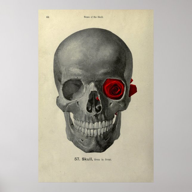 Amo-Te Para Sempre poster (Frente)