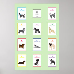 Amor A Poster De Cachorro
