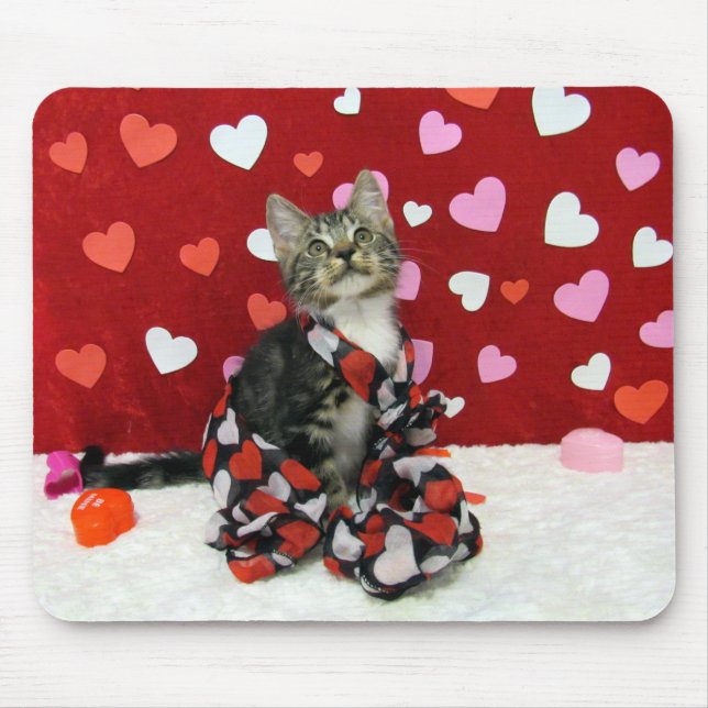 Amor, Bandit, o Tabby Kitten Mousepad (Frente)