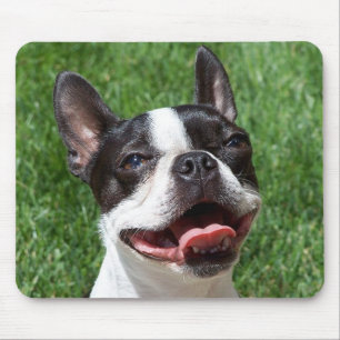 Amor Boston Terrier Puppy Dog Computer Mousepad