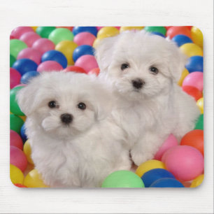 Amor Branca Bichon Fascy Dog Mousepad