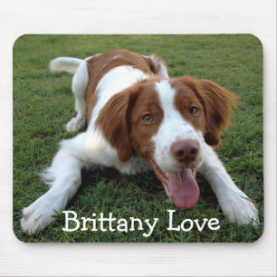 Amor Brittany Spaniel Puppy Dog Mousepad
