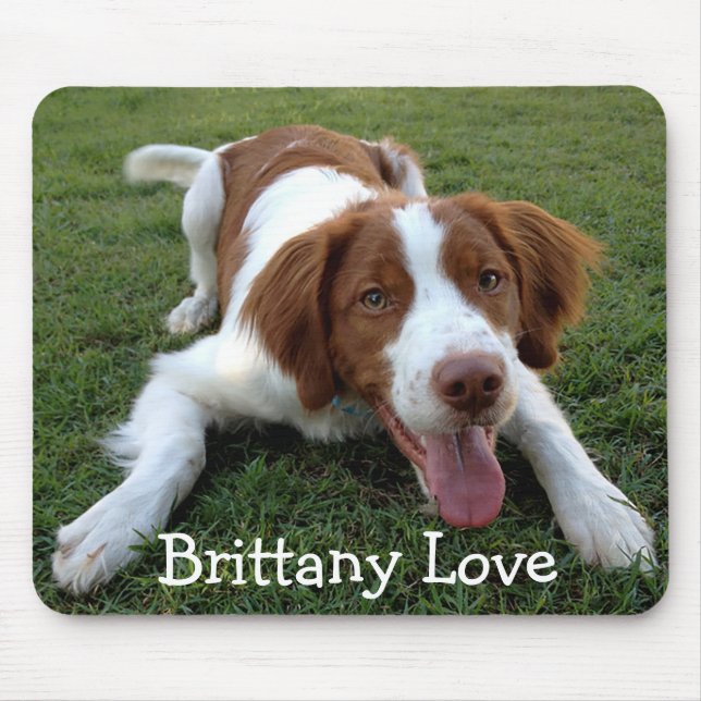 Amor Brittany Spaniel Puppy Dog Mousepad (Frente)