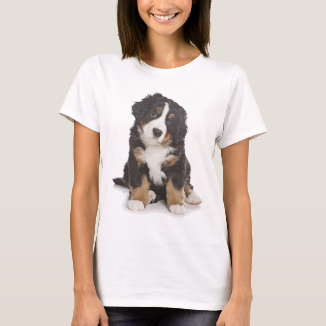 Amor Camiseta Cachorro da Montanha Bernese (Frente)