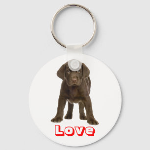 Amor Chocolate Labrador Retriever Puppy Chaveiro