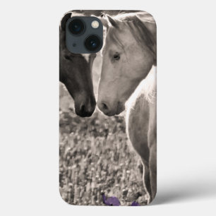 Amor do cavalo