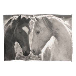Amor do cavalo