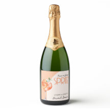 Amor Elegante moderno no primeiro Chá de panela Sp