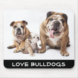 Amor Inglês Bulldogs Puppy Dogs Família Mousepad