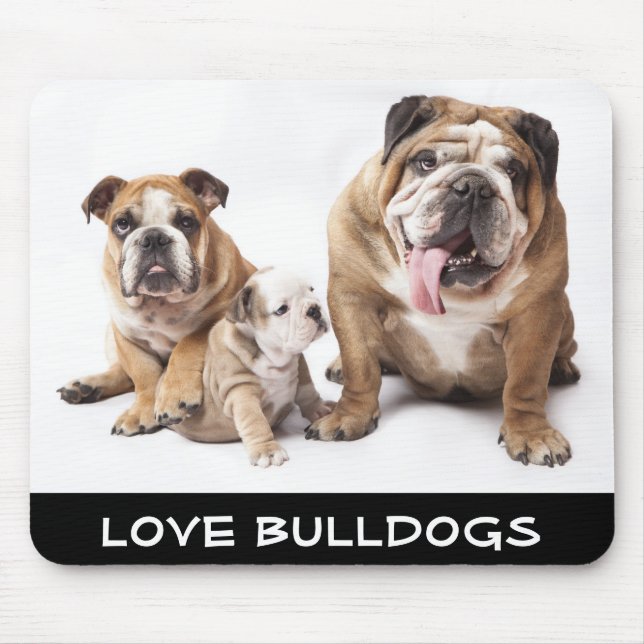 Amor Inglês Bulldogs Puppy Dogs Família Mousepad (Frente)