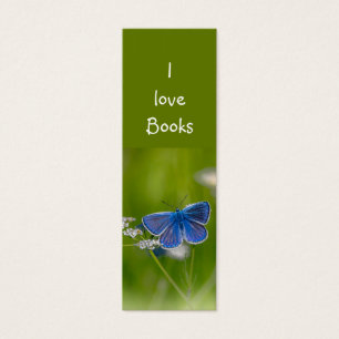 Amor Livros Azul Flor do Jardim da Borboleta