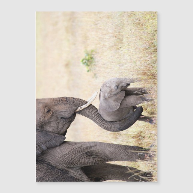 Amor maternal (Frente)