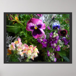 Amor perfeito e poster dos amigos