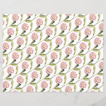 Amor-Perfeito em um Fundo Branco