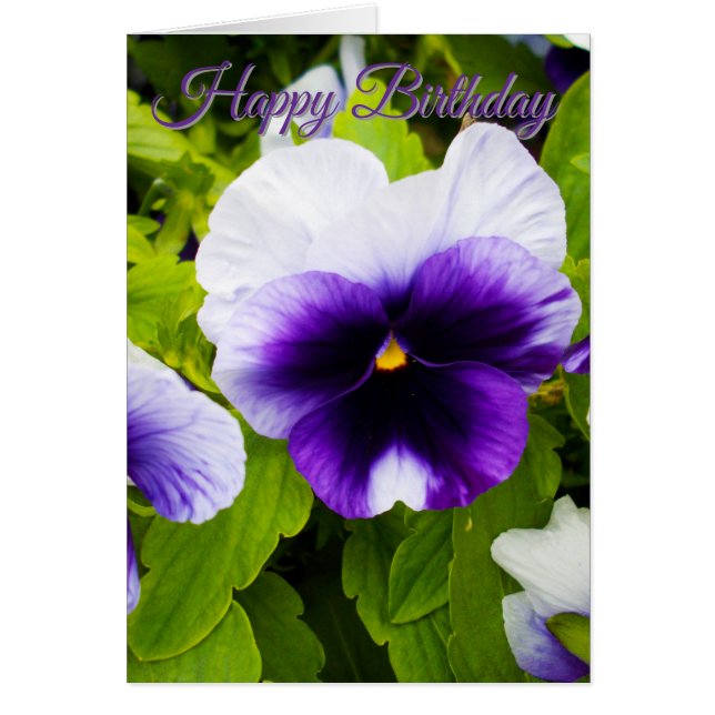 Amor-Perfeito Roxo e Branco, Cartão de Aniversário (Frente)