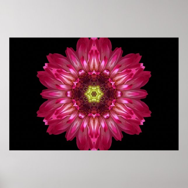 Amor Permite Flor Mandala Poster (Frente)