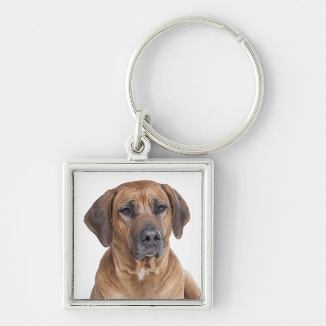 Amor Ridgeback Chaveiro de Cachorro Ridgeback (Frente)