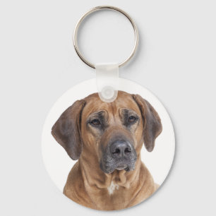 Amor Ridgeback Chaveiro de Cachorro Ridgeback
