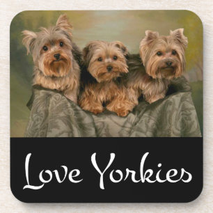 Amor Yorkshire Terrier Puppy Dog Porta copos