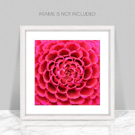 Ampliação de Fotografias com Flor Rosa Quente de F