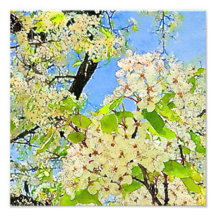 Ampliação de Fotografias por Aquarela em Árvore