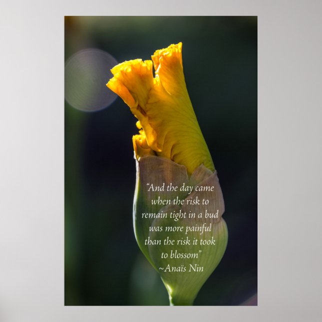 Anais Nin Quote Inspiration Poster (Frente)