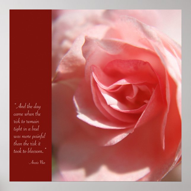 Anais Nin Quote Poster a Rosa (Frente)