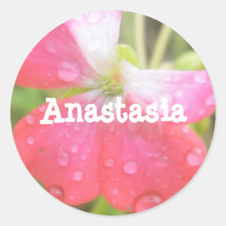 Anastásia nome de menina amaryllis autocolantes