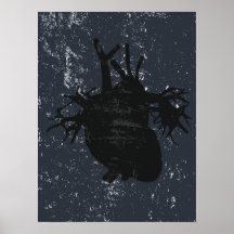 Anatomia cardíaca poster