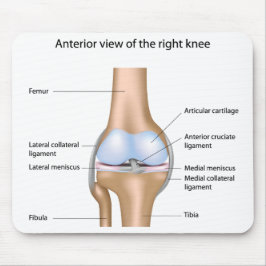 Anatomia da articulação do joelho Mousepad