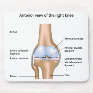 Anatomia da articulação do joelho Mousepad