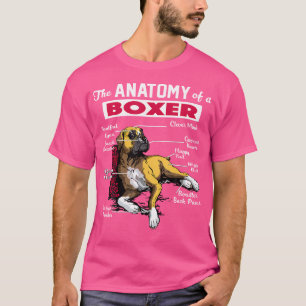 Anatomia Da Camiseta de cão - Camisa Engraçada Par