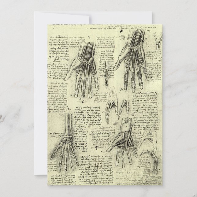 Anatomia da Mão Humana de Leonardo da Vinci (Frente)