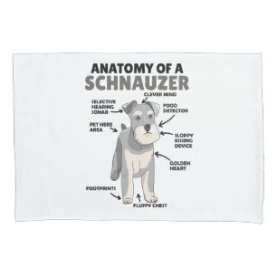 Anatomia De Cachorro Cuto Schnauzer