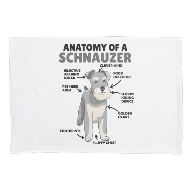Anatomia De Cachorro Cuto Schnauzer (Frente)