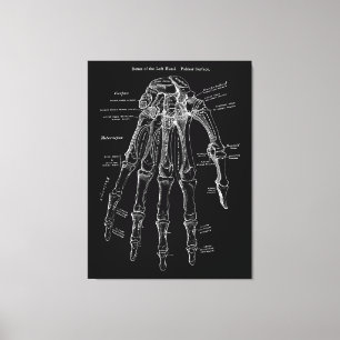 Anatomia de mão Grande Muralha de Canvas Art 36x4