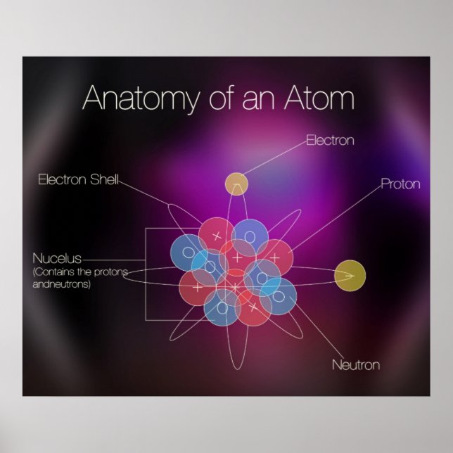 Anatomia de Um Poster Atom (Frente)