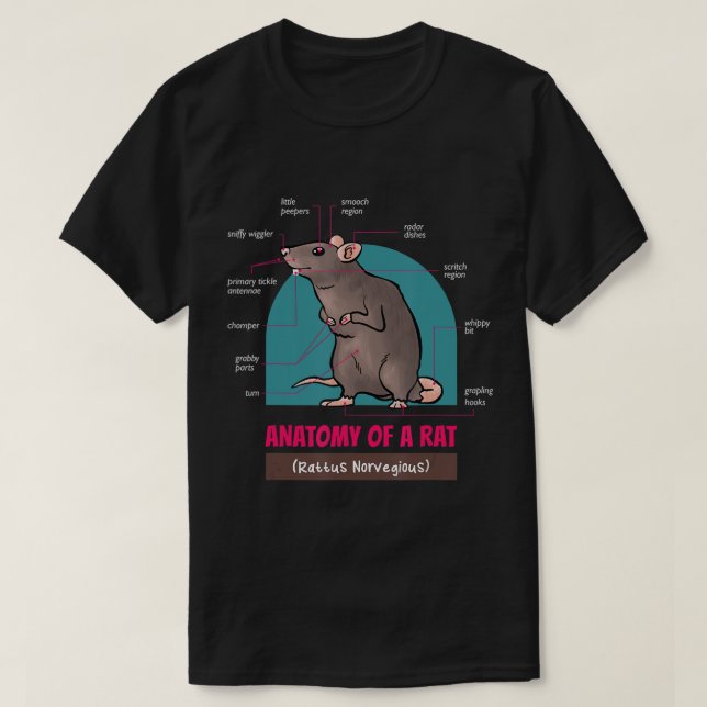 Anatomia De Um Rato Rato Rato Norvegioso T-Shirt (Frente do Design)
