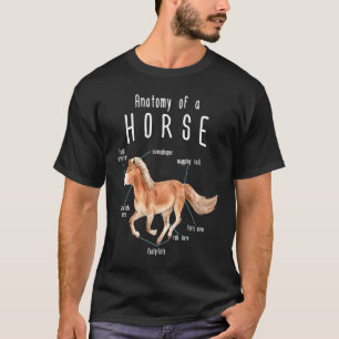 Anatomia De Uma Camisa De Cavalo cavalo para mu