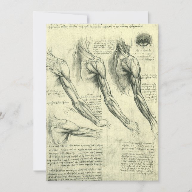 Anatomia do Braço e Ombro de Leonardo da Vinci (Frente)