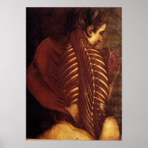 Anatomia/esqueletal do poster da parte traseira da