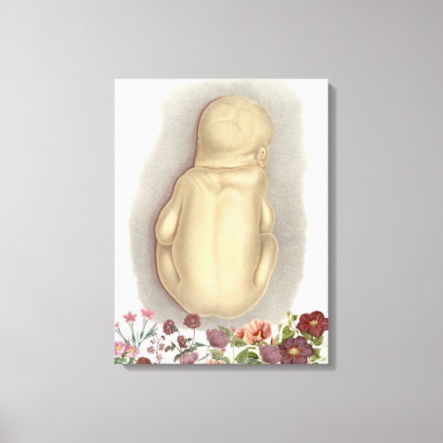Anatomia fetal da safra Arte da canvas (Frente)