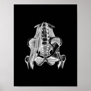 Anatomia humana do músculo no impressão preto e